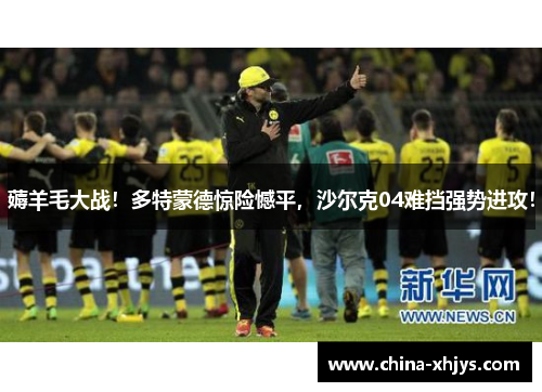 薅羊毛大战！多特蒙德惊险憾平，沙尔克04难挡强势进攻！