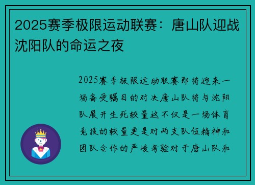 2025赛季极限运动联赛：唐山队迎战沈阳队的命运之夜